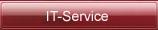 IT-Service